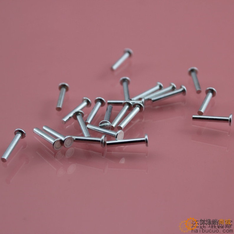 DT2*13 打头轴 销钉 玩具车轴 玩具配件 光轴 科技模型零件B282