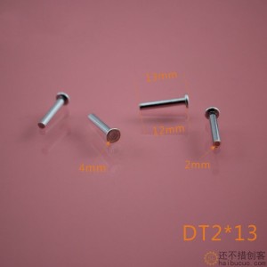 DT2*13 打头轴 销钉 玩具车轴 玩具配件 光轴 科技模型零件B282