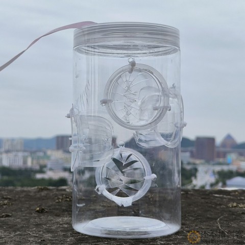 扑鱼桶抓鱼工具小白条桶小鱼小虾饵料手工钓鱼扑鱼利器1200ml SN1192
