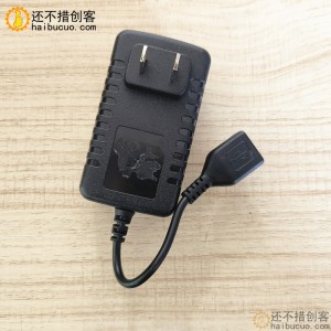 USB母头9V1A电源适配器 USB充电座线 水泵电源 SN1089