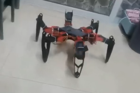 六足蜘蛛机器人MG996舵机驱动，ps2遥控，在草地上跑有点吓人