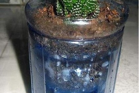 塑料瓶变废为宝手工制作不用浇水花盆