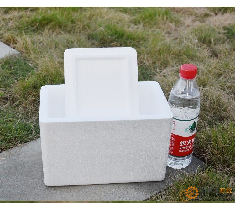标准6号泡沫箱保温箱蔬菜水果水族冻品牛肉箱海鲜箱2-3斤箱SN1293