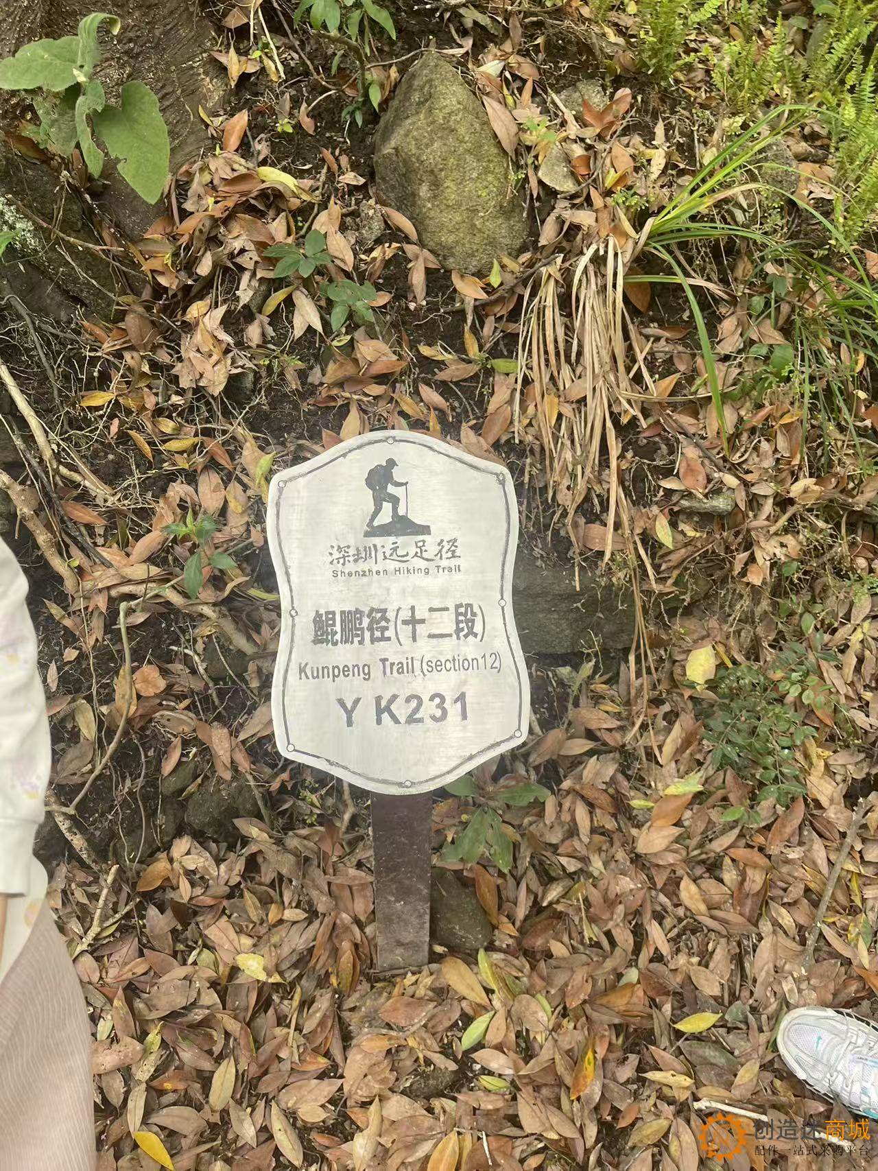 创造迷商城登顶深圳梅沙尖