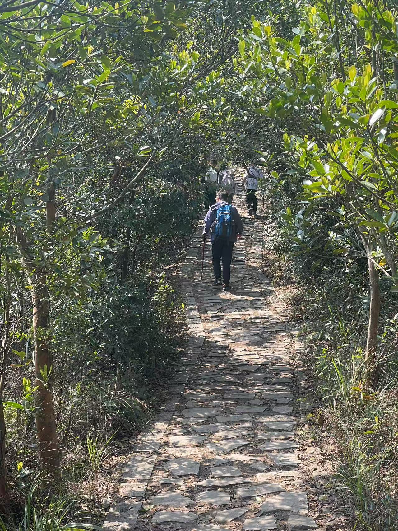 创造迷商城登顶深圳梅沙尖