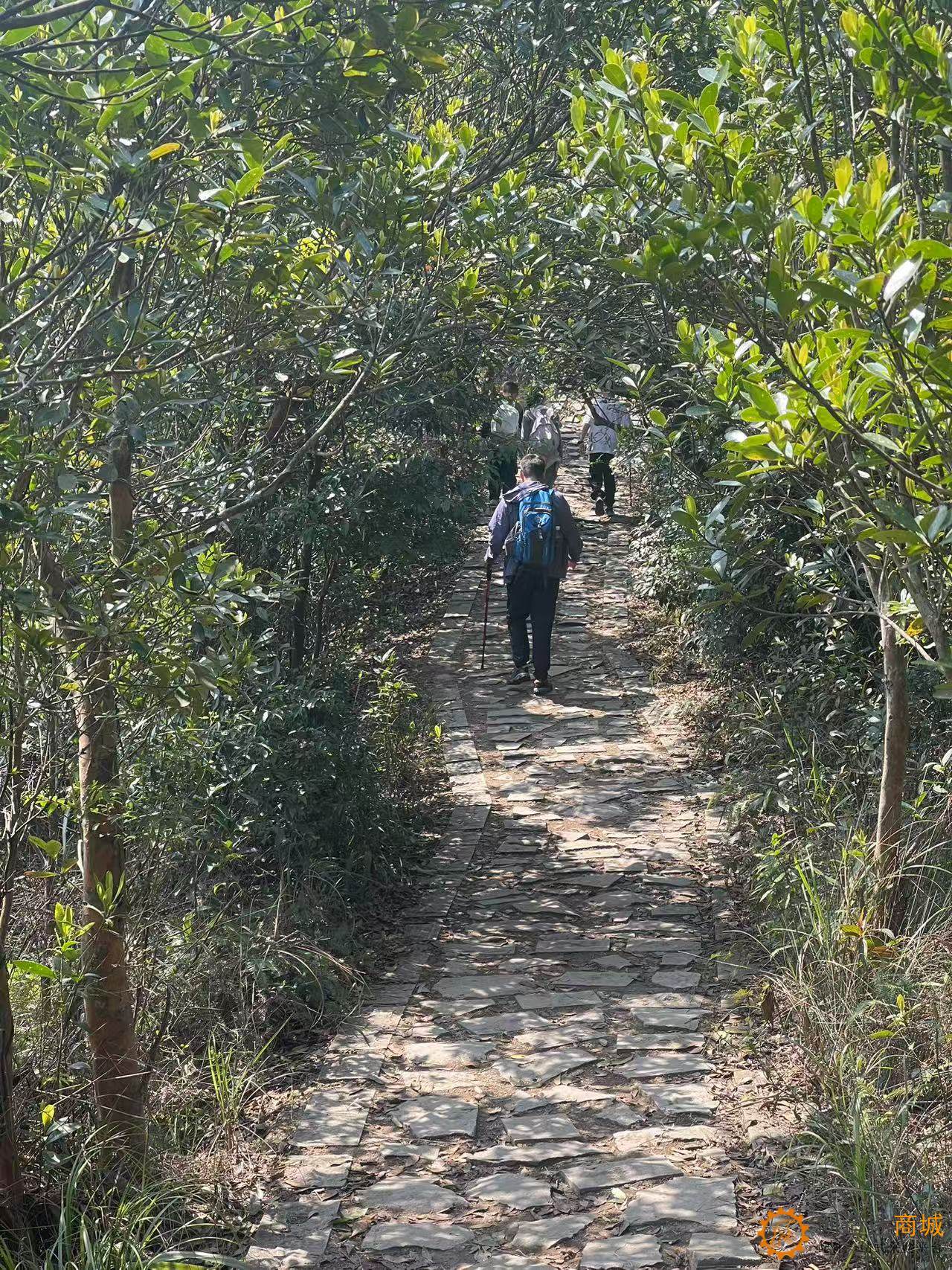 创造迷商城登顶深圳梅沙尖