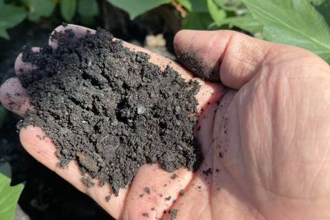 网上买的便宜的花卉土，原来都是工业废土，甚至是建筑垃圾