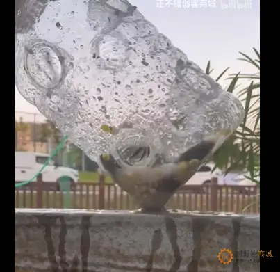 用油桶加果冻壳自制抓鱼桶抓鱼效果