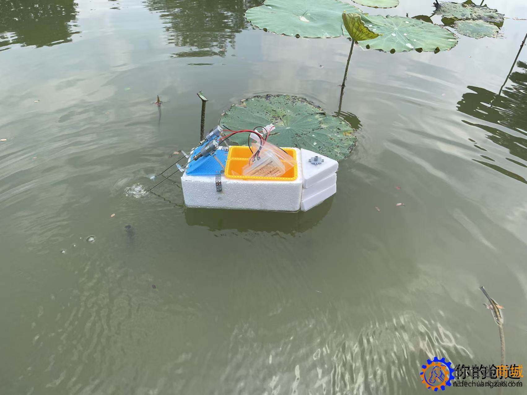 小钉锤中级遥控船下水测试-深圳光明区鹅颈水湿地公园